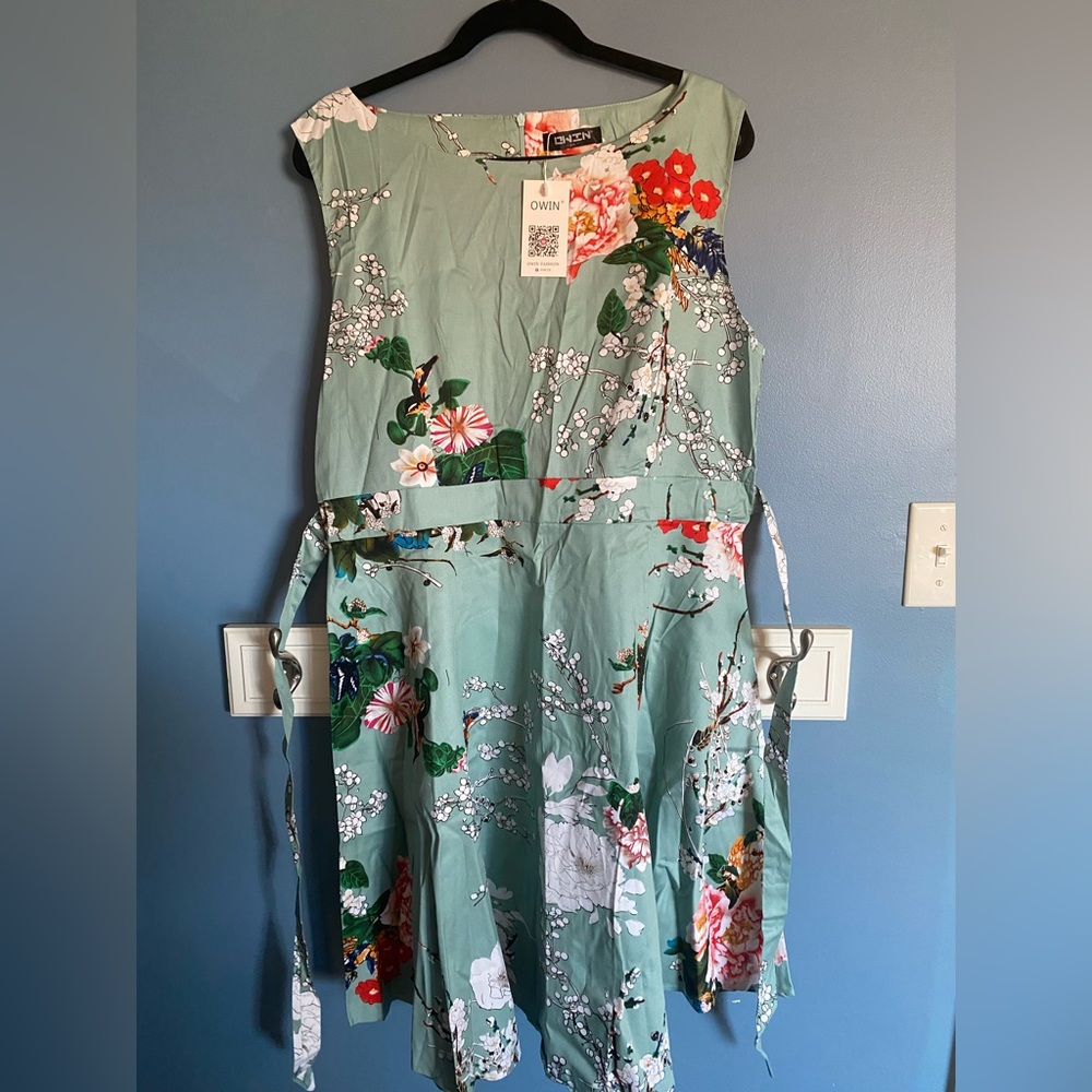 Plus size vintage 1950s style dress